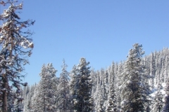 big-white-ski-vacation-home-kw-896881-full